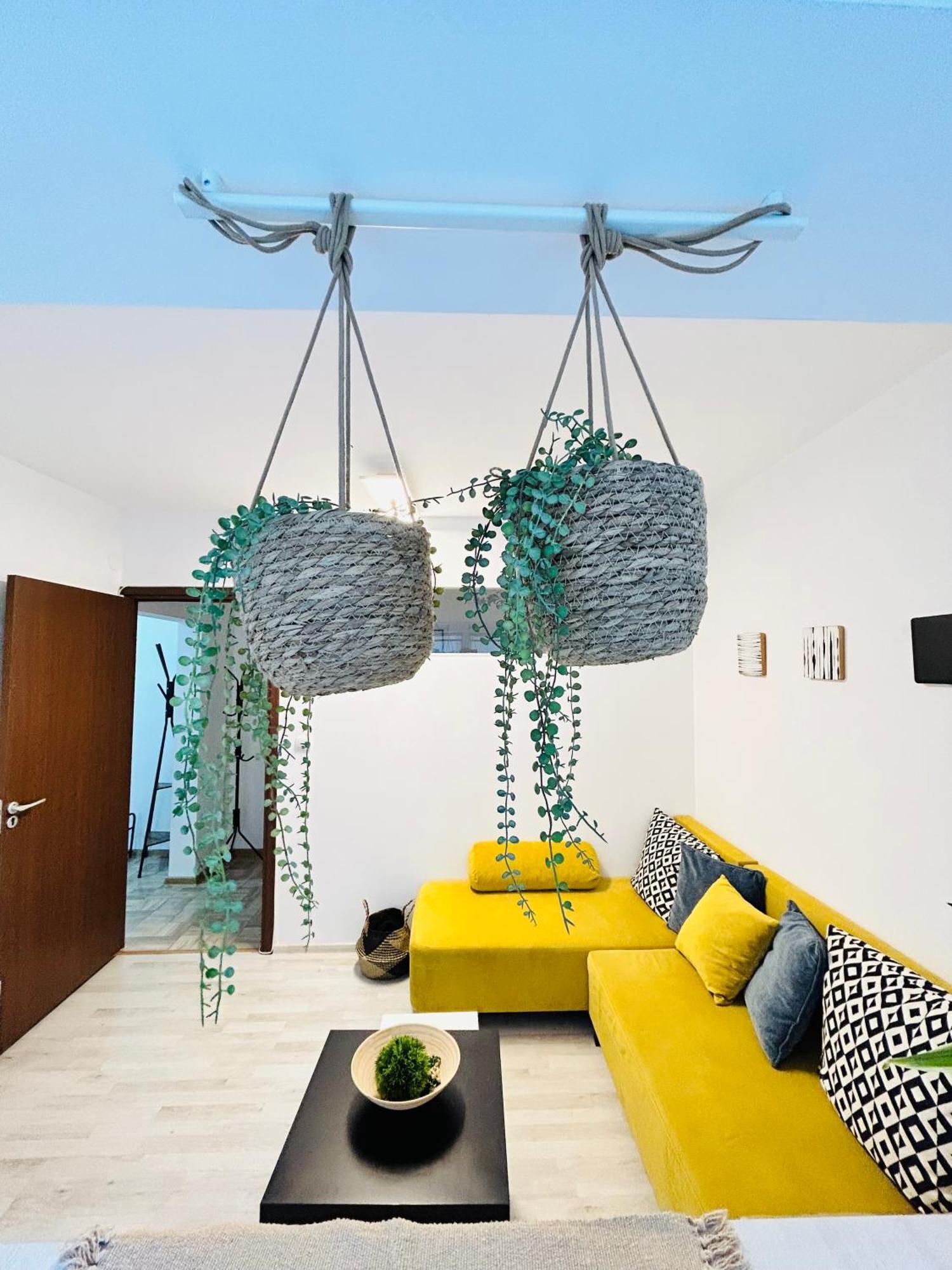Alisz Apartments Timişoara Exteriör bild