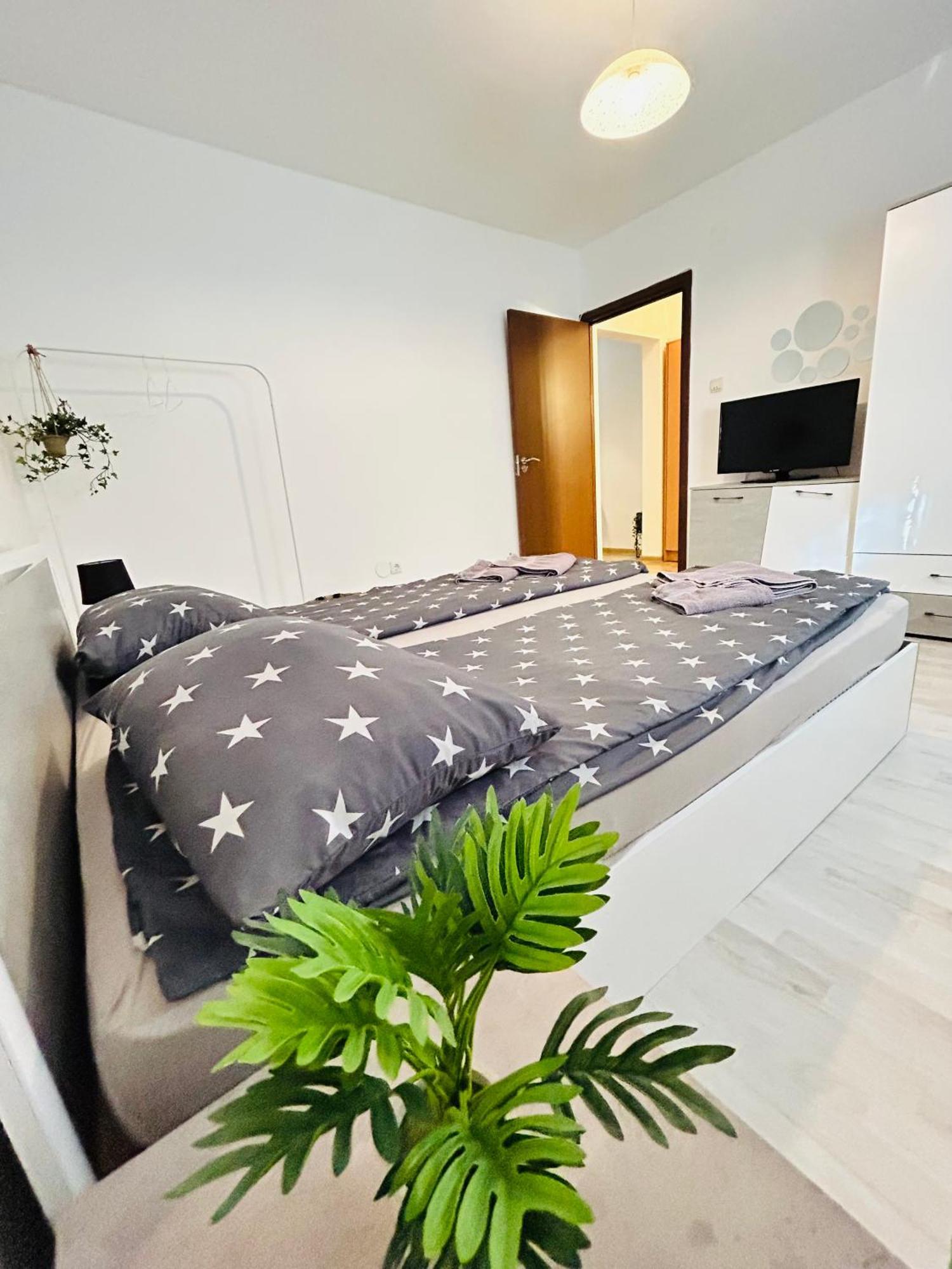 Alisz Apartments Timişoara Exteriör bild